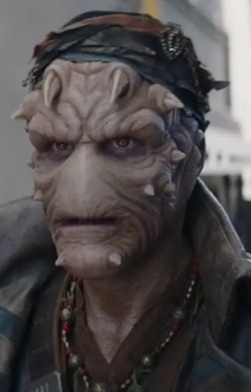 Vane (Nikto Pirate)
