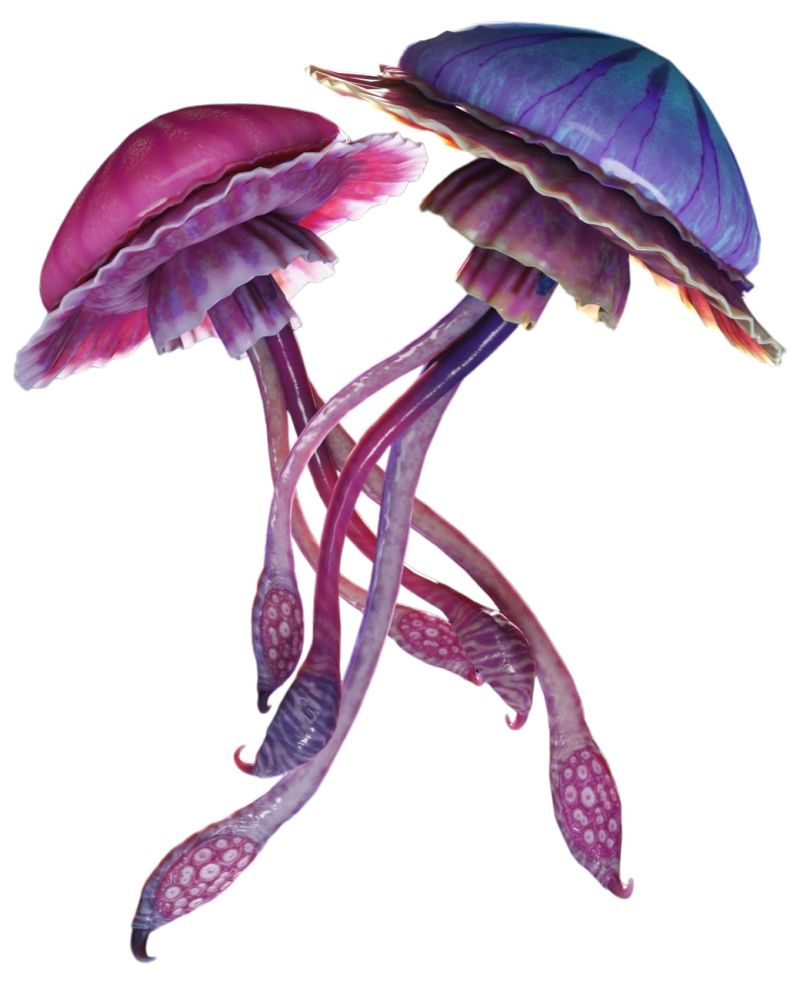 Viscid Lurker (Stinging Jellyfish)