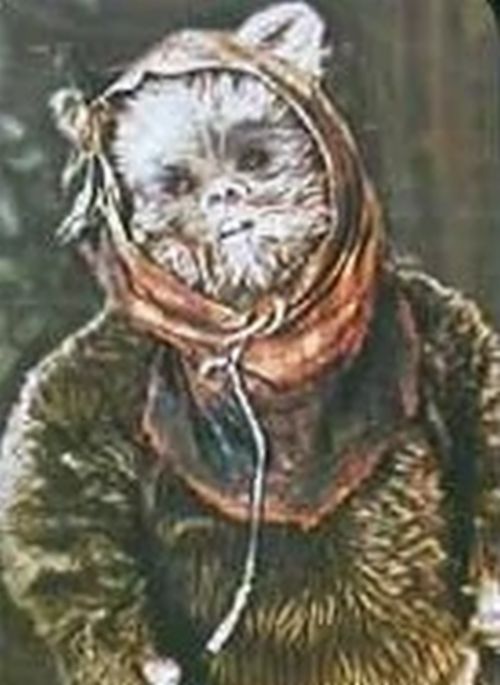 Warok (Ewok Glider Pilot)
