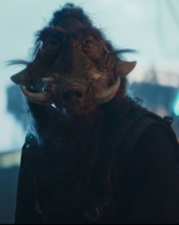 Warthog Pirate {Starport Bongo}