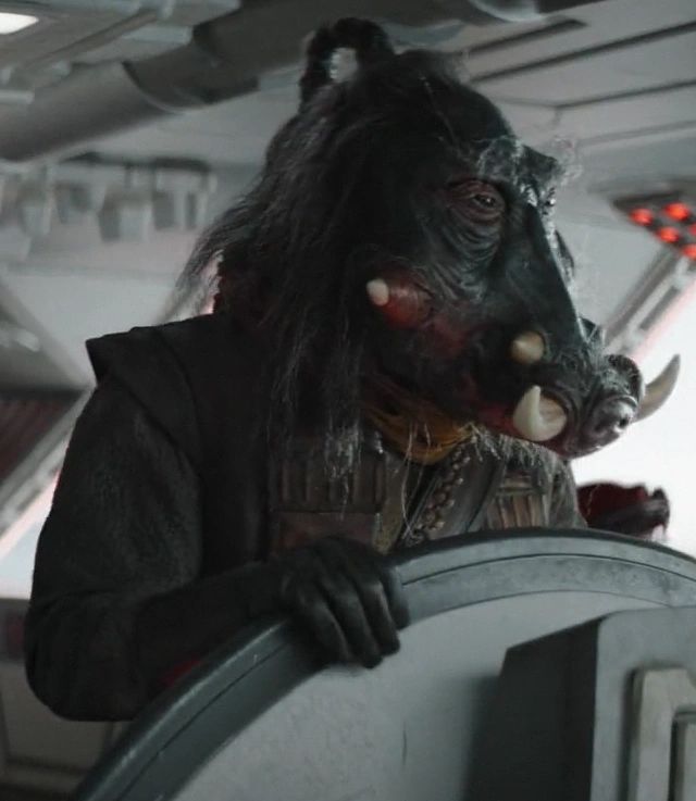 Unidentified Warthog Pirate