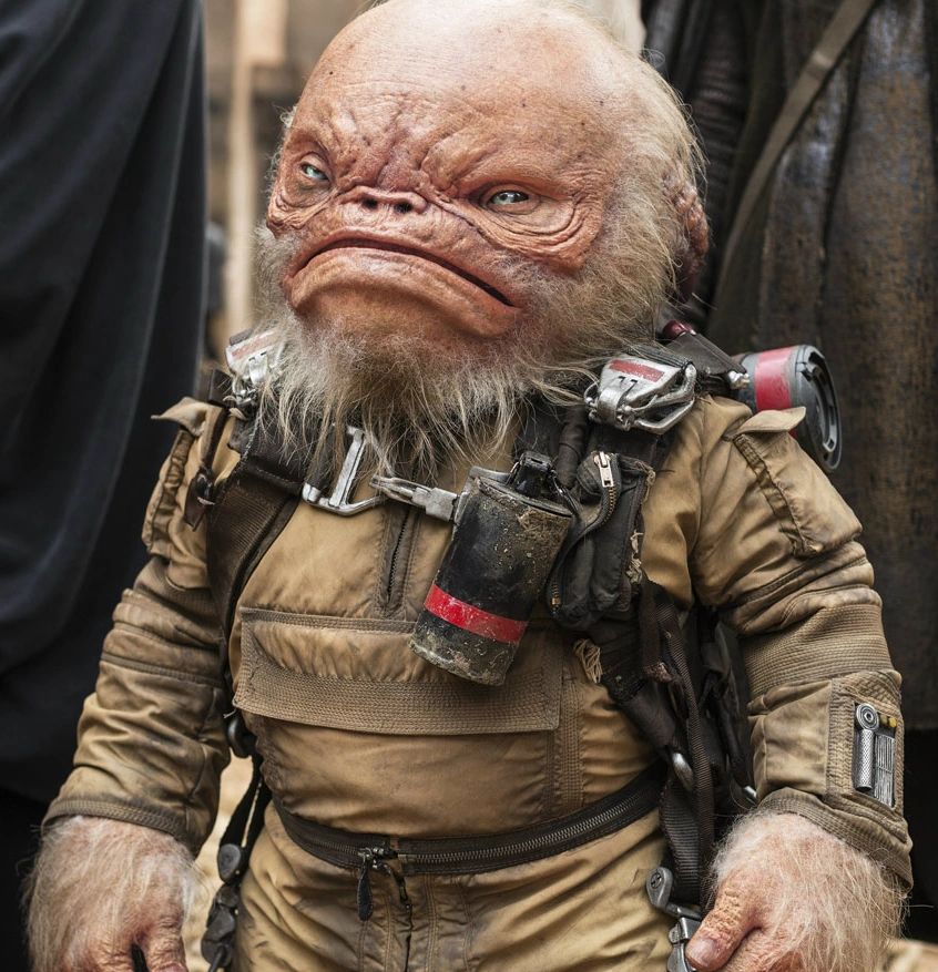 Weeteef Cyu-Bee (Talpini Partizan Soldier)