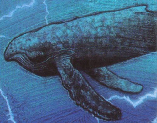 Whaladon (Sentient Cetacean)