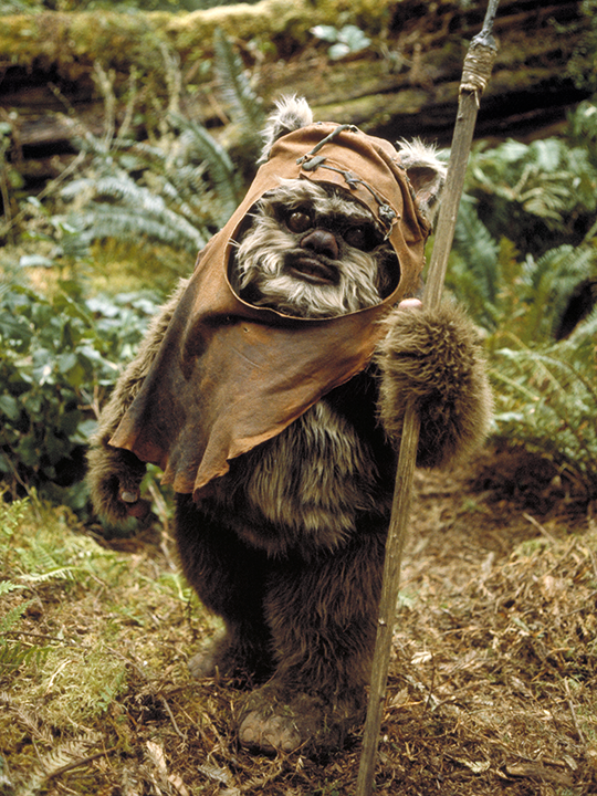 Wicket Wystri Warrick