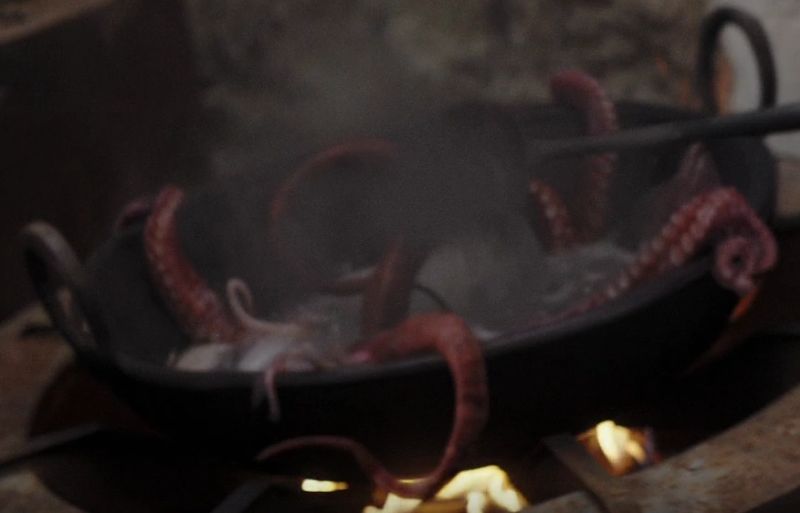Wurrek (Edible Squid)