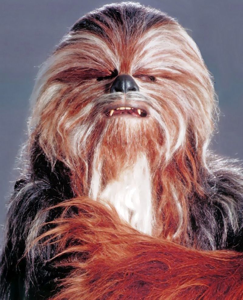 Senator Yarua (Wookiee Politician)