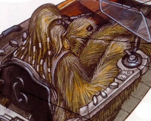 Zittaasabba (Wookiee Pilot)