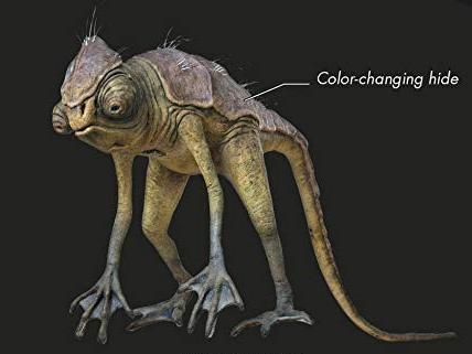Zymod (arboreal lizard)